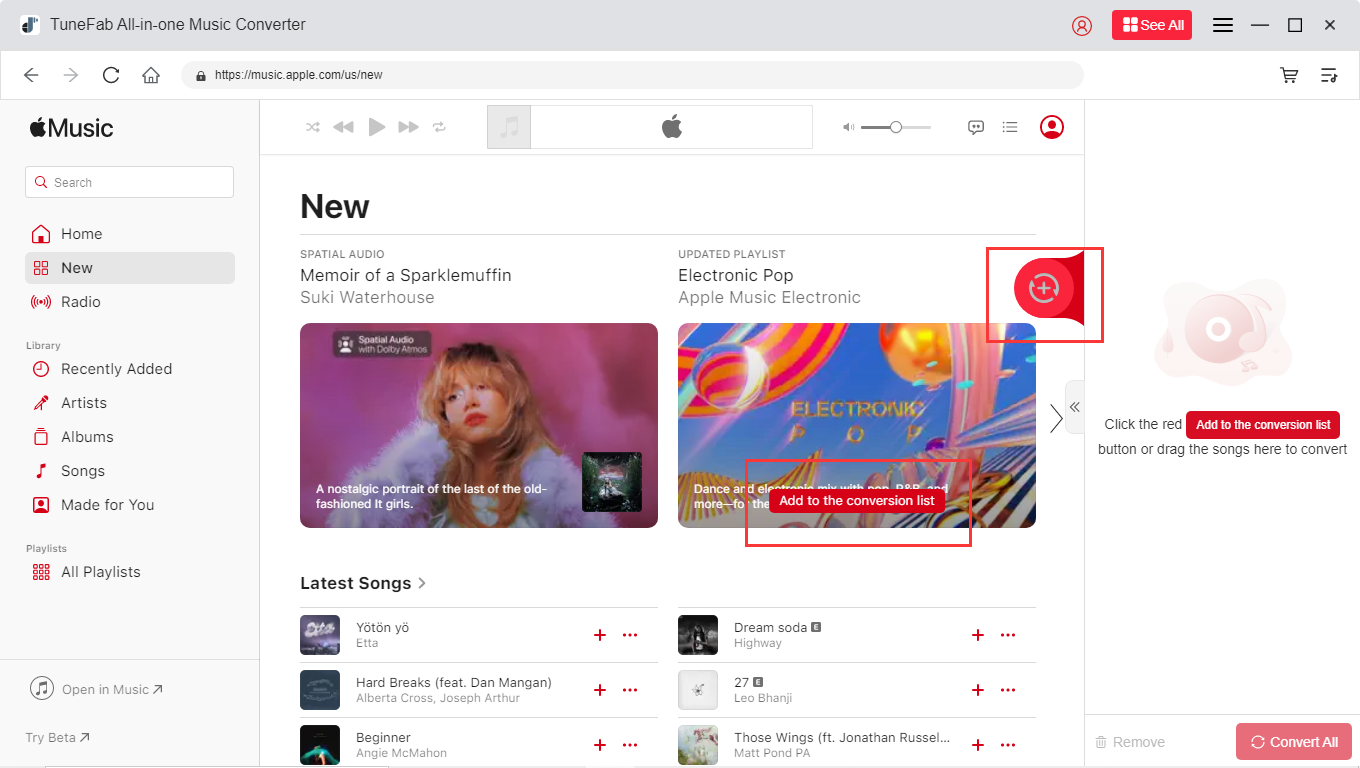 Interface do TuneFab AMC