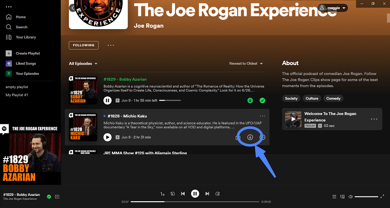 SpotiFlyer Descarregar canção Spotify