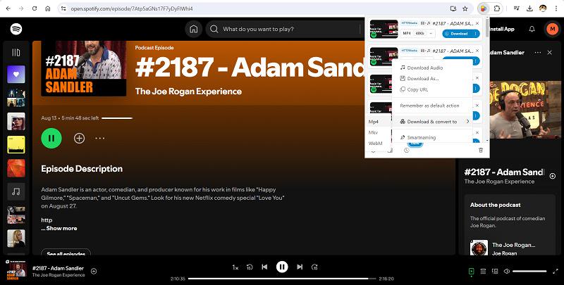 Descarregar vídeo de podcast Spotify com Video DownloadHelper