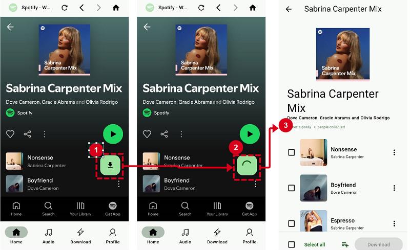 Selecionar músicas do Spotify para descarregar